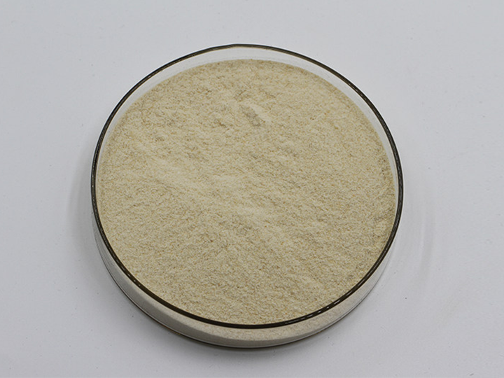 Xanthan Gum